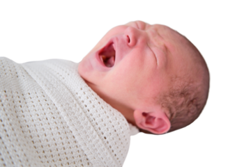 A newborn baby is crying swaddled on the bed, isolated on a white background. Child is a boy in a cocoon on a cot.