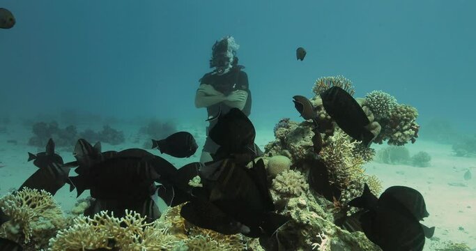 many fish enjoying the company of a scuba diver