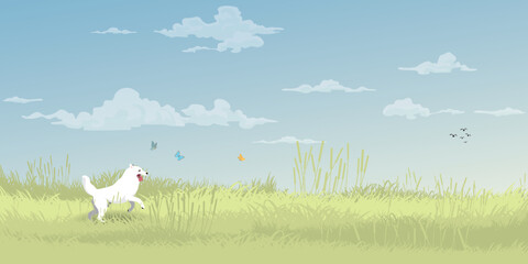 Happy dog chasing butterfly on grass field in spring season flat design vector illustration. Dog unleashed in the public park.