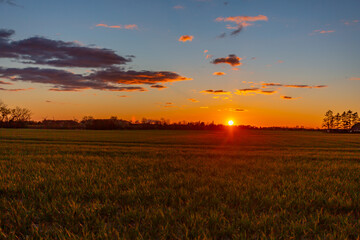 sunset over field