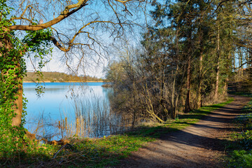 landscape with lake