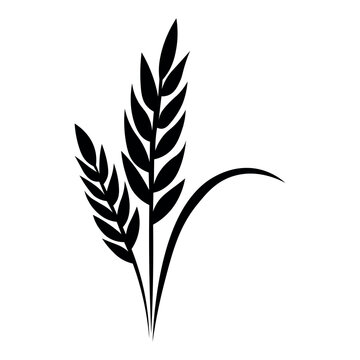 Wheat black vector icon on white background