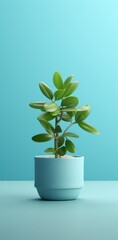 3d model of green plant in plastic pot on a blue background