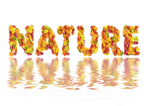 Nature, illustration