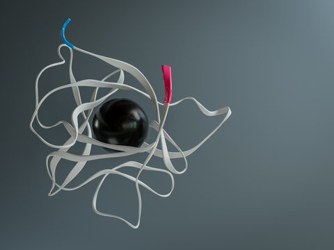 Interleukin-1 beta protein, illustration