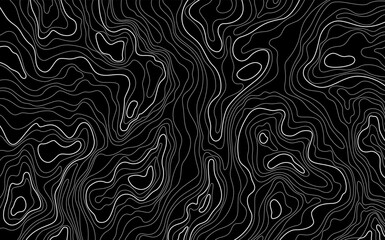 Stylized height texture map. Contour topographic. Isolines height lines. Abstract geographic mountain illustration.