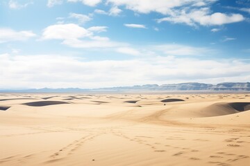 Fototapeta na wymiar massive dunes in a sprawling sandy wasteland
