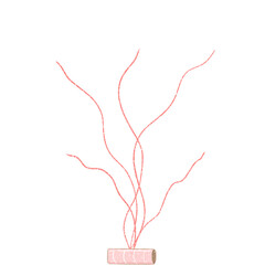 tree isolated on white background