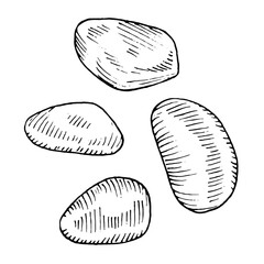Pebble outline set. Vector illustration of stone. Hand drawn graphic clipart of rough rock. Linear drawing on isolated background. Black contour line art