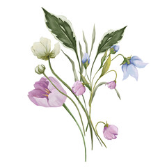 Watercolor floral bouquets