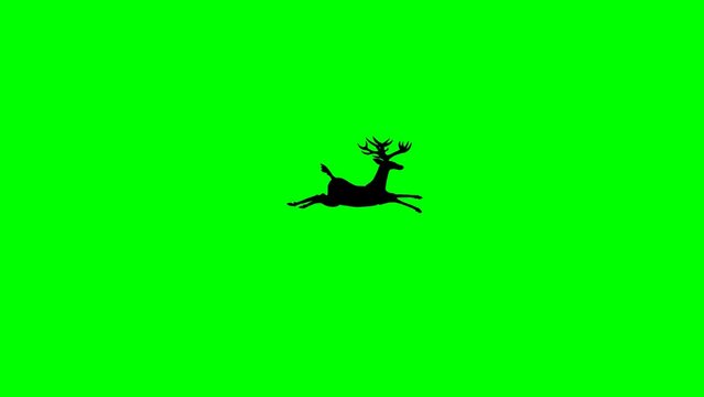 Cute Reindeer Silhouette Running on Green Screen