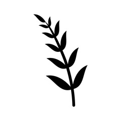 Leaf icon on transparent background