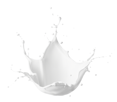 Close up of milk splash isolated