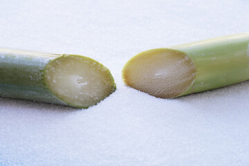 White sugar with sugar cane