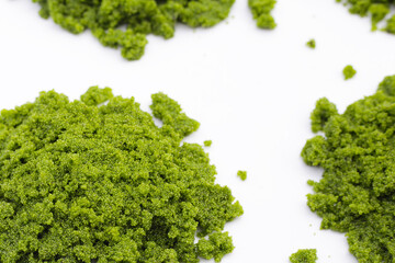 Obraz premium Wolffia globosa or swamp algae, water meal