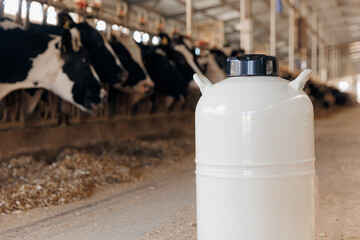 Concept artificial insemination of cows, tank liquid nitrogen with bull sperm. Veterinary of industry dairy livestock - obrazy, fototapety, plakaty