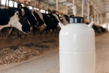 Fotobehang Concept artificial insemination of cows, tank liquid nitrogen with bull sperm. Veterinary of industry dairy livestock © Parilov