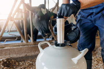 Tank liquid nitrogen with bull sperm, Concept banner artificial insemination of cows. Veterinary of industry dairy livestock - obrazy, fototapety, plakaty