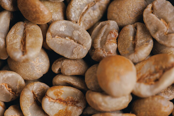 Fototapeta na wymiar Macro photo texture raw green coffee beans before roasted