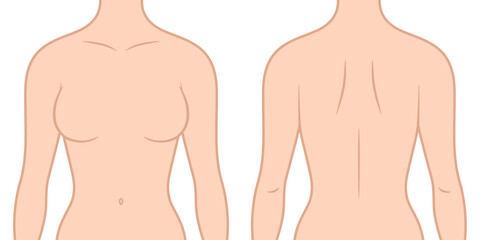 Female Upper Body Vector Illustration
