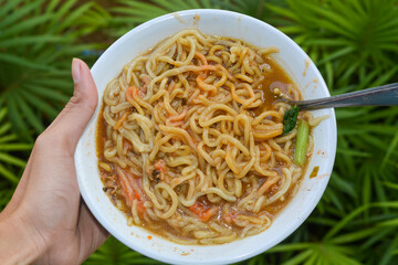 Close up of chicken noodles in a bowl, noodles
