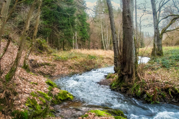 Herbstlicher Vischelbach im Vischeltal bei Kreuzberg kurz vor der Mündung in die Ahr bei gutem...