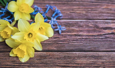 Obraz na płótnie Canvas Yellow Narcissus Flowers on wooden background with copy space