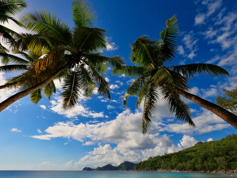 Paradise Seychelles - Paradies Seychellen