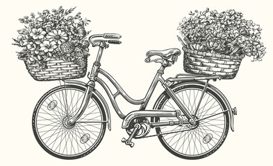 Hand drawn retro bicycle with spring flowers and plants in basket. Vintage sketch vector illustration - obrazy, fototapety, plakaty