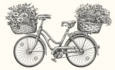 Foto op Aluminium Hand drawn retro bicycle with spring flowers and plants in basket. Vintage sketch vector illustration © ~ Bitter ~
