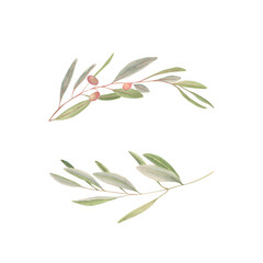 Watercolor frame with olive branches