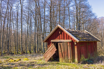 Old red wooden shed by a grove of trees in spring