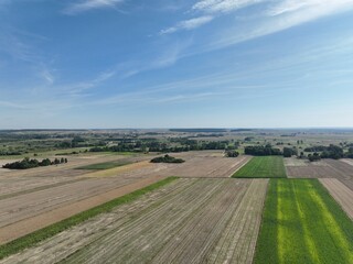 Obszary rolnicze, gdzie jest świeże powietrze świeżą żywność od małych lokalnych gospodarstw, ekologiczna polska wieś. Błękitne niebo - obrazy, fototapety, plakaty