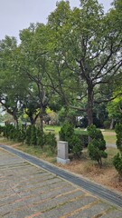 Park scene in the morning
