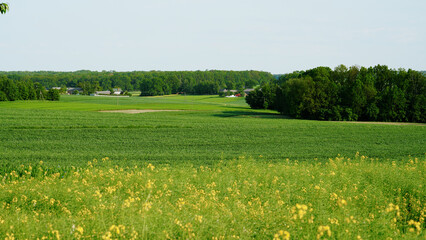 Pola, krajobraz wiejski