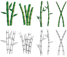Set of bamboo illustration drawing. Bamboo tree line art  - obrazy, fototapety, plakaty