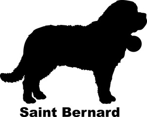Dog Saint Bernard silhouette Breeds Bundle Dogs on the move. Dogs in different poses.
The dog jumps, the dog runs. The dog is sitting. The dog is lying down. The dog is playing
