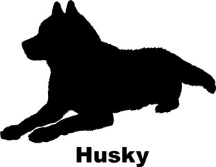 Dog Husky silhouette Breeds Bundle Dogs on the move. Dogs in different poses.
The dog jumps, the dog runs. The dog is sitting. The dog is lying down. The dog is playing

