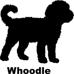 Dog Whoodle silhouette Breeds Bundle Dogs on the move. Dogs in different poses.
The dog jumps, the dog runs. The dog is sitting. The dog is lying down. The dog is playing
