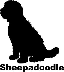 Dog Sheepadoodle silhouette Breeds Bundle Dogs on the move. Dogs in different poses.
The dog jumps, the dog runs. The dog is sitting. The dog is lying down. The dog is playing
