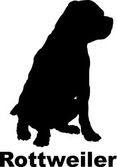 Dog Rottweiler silhouette Breeds Bundle Dogs on the move. Dogs in different poses.
The dog jumps, the dog runs. The dog is sitting. The dog is lying down. The dog is playing
