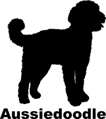 Dog Aussiedoodle silhouette Breeds Bundle Dogs on the move. Dogs in different poses.
The dog jumps, the dog runs. The dog is sitting. The dog is lying down. The dog is playing
