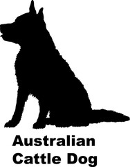 Dog Australian Cattle silhouette Breeds Bundle Dogs on the move. Dogs in different poses.
The dog jumps, the dog runs. The dog is sitting. The dog is lying down. The dog is playing
