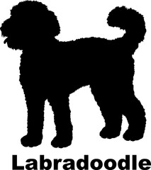 Dog Labradoodle silhouette Breeds Bundle Dogs on the move. Dogs in different poses.
The dog jumps, the dog runs. The dog is sitting. The dog is lying down. The dog is playing
