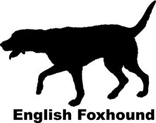 Dog English Foxhound silhouette Breeds Bundle Dogs on the move. Dogs in different poses.
The dog jumps, the dog runs. The dog is sitting. The dog is lying down. The dog is playing
