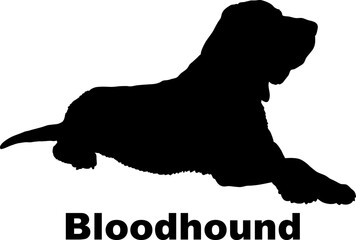 Dog Bloodhound silhouette Breeds Bundle Dogs on the move. Dogs in different poses.
The dog jumps, the dog runs. The dog is sitting. The dog is lying down. The dog is playing
 - obrazy, fototapety, plakaty
