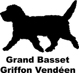 Dog  Grand Basset Griffon Vendéen silhouette Breeds Bundle Dogs on the move. Dogs in different poses.
The dog jumps, the dog runs. The dog is sitting. The dog is lying down. The dog is playing
