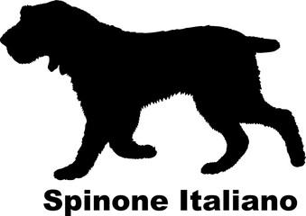 Dog  Spinone Italiano silhouette Breeds Bundle Dogs on the move. Dogs in different poses.
The dog jumps, the dog runs. The dog is sitting. The dog is lying down. The dog is playing
