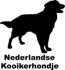 Dog Nederlandse Kooikerhondje silhouette Breeds Bundle Dogs on the move. Dogs in different poses.
The dog jumps, the dog runs. The dog is sitting. The dog is lying down. The dog is playing
