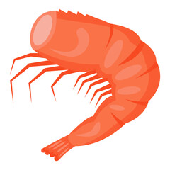 Obraz premium Cooked shrimp without head. Vector illustration.